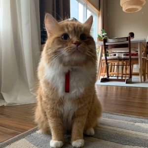 Meet your Posher, Ana